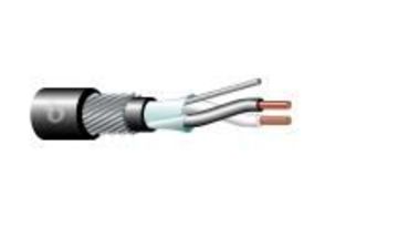 Teldor-8441201101 1x2x16 AWG XLPE Overall Shielded Instrumentation Cable with Served Wire Armor金屬鎧裝隔離電纜