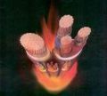 PEWC (太平洋 ) 840度 600V LV FIRE-RESISTANT CABL 耐火電纜 200 SQmm*1C
