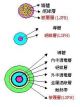 LSFH-2mm2(低煙無毒電線)產品圖