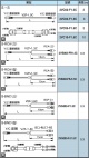 S端子組合式線組  S-S, S-RCA, S-BNC (公 母)