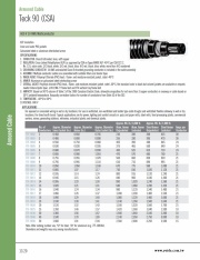 A-7TF-1002  TECK 90 (CSA) XLPE/Galv. Steel or Aluminum Armor/PVC 600V -40°C to 90°C Multiconductor 10 AWG 多芯波紋鋁管or波紋鋼管鎧裝儀錶電力控制電纜