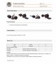 LAPP-70270250  TRUCK connectors 15pole 接頭