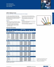 Belden- CAT6+ Modular Cords Bonded-Pair Patch Cords and Nonbonded-Pair Pigtails CAT-6 電腦網路連接跳線