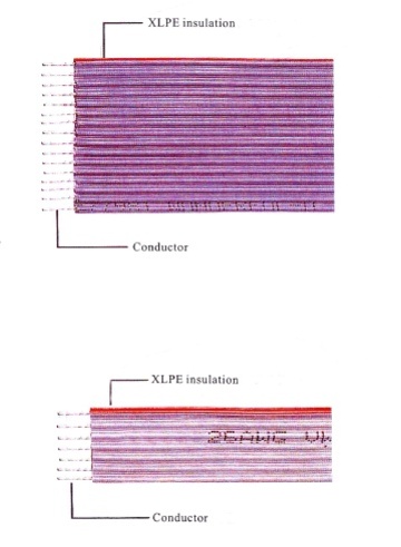 UL4478 Awg(24, 26, 28) 300V 105℃ XLPE (LSOH) Flat Ribbon Cable 低煙無鹵電腦排線產品圖