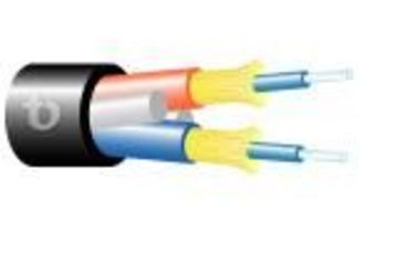 Teldor-95B55FA02C Fiber Optic 2 Fiber Breakout Indoor/Outdoor PVC Cable 2芯緊式室內外光纖電纜