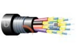 Teldor-95B71FM06C Armored Fiber Optic 6 Fiber Indoor/Outdoor Breakout Cable 6芯緊式鎧裝室內外光纖電纜產品圖