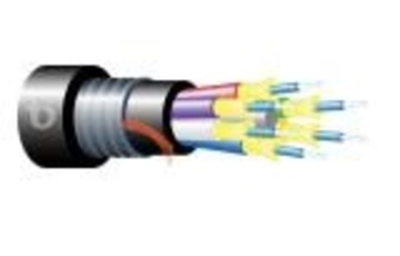 Teldor-95B73FM04B Armored Fiber Optic 4 Fiber Outdoor Breakout Cable 鎧裝緊式室外光纖電纜產品圖