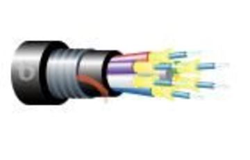 Teldor-95B73FM06B Armored Fiber Optic 6 Fiber Outdoor Breakout Cable 鎧裝緊式室外光纖電纜產品圖